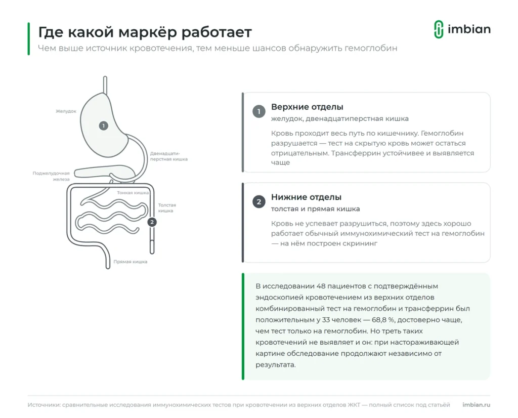 Почему трансферрин информативен при кровотечении из верхних отделов ЖКТ