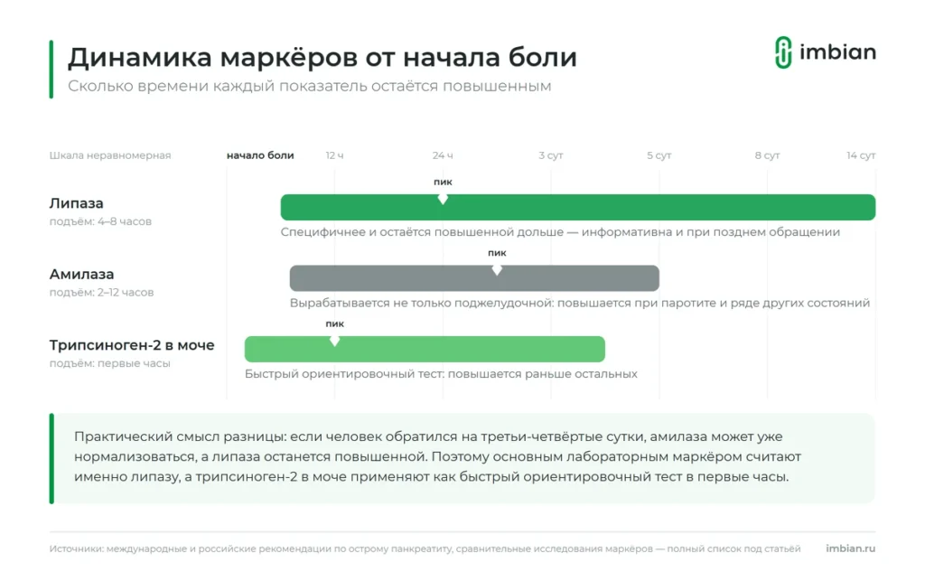 Динамика липазы и амилазы при остром панкреатите
