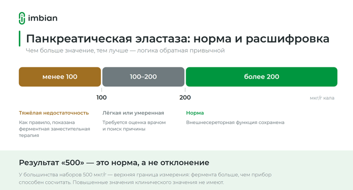 Панкреатическая эластаза в кале: норма и расшифровка результата
