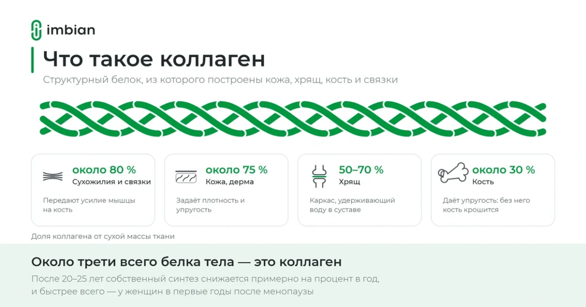 Что такое коллаген: тройная спираль белка и его роль в коже, суставах и костях