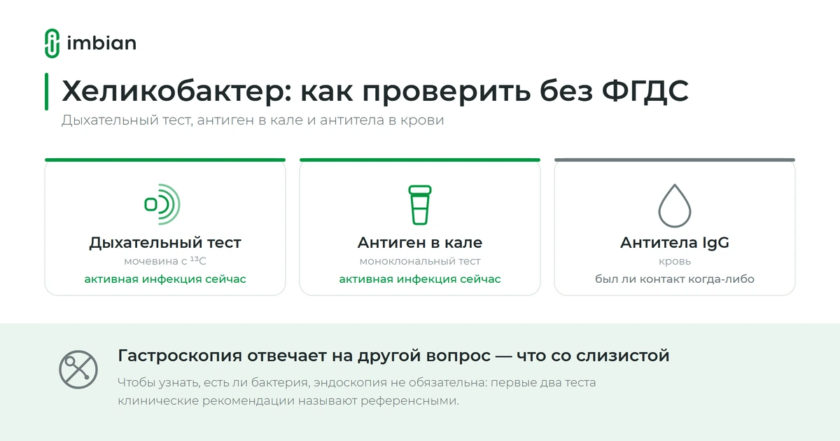 Как проверить хеликобактер без ФГДС: какой анализ точнее