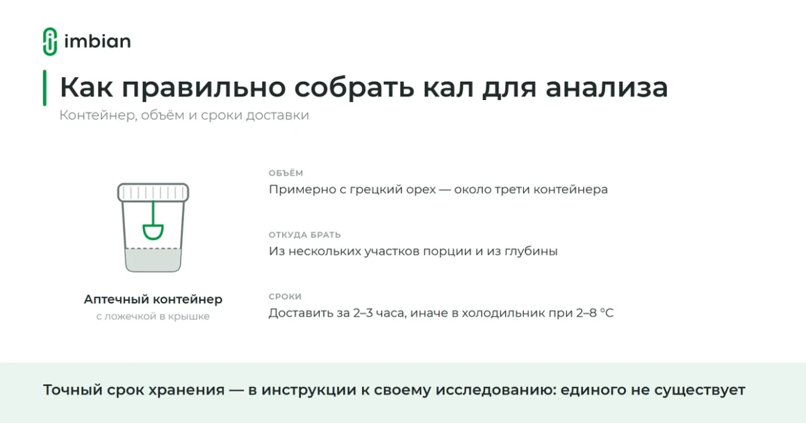 Как правильно собрать кал для анализа: контейнер, объём, сроки доставки