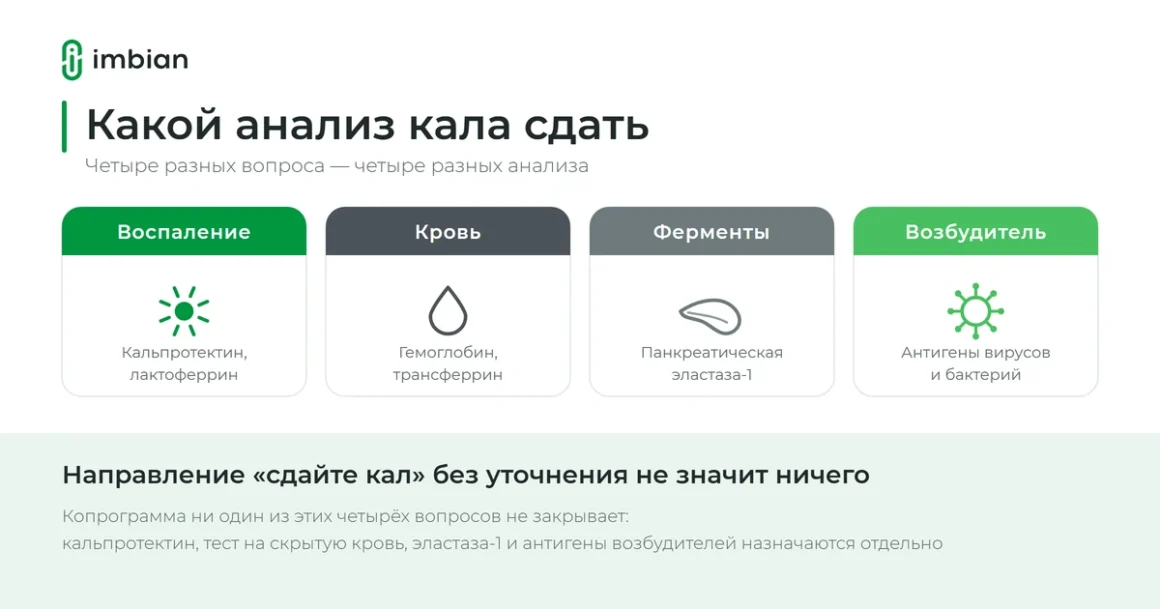 Какой анализ кала сдать: маркеры воспаления, крови и ферментов в одной схеме
