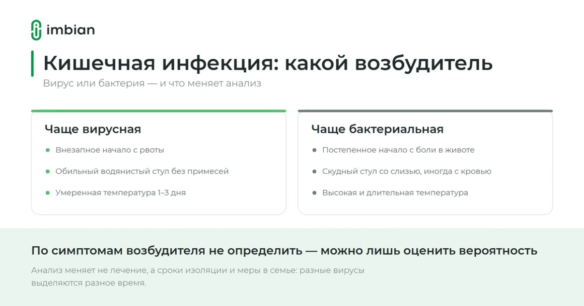 Кишечная инфекция: как понять, вирусная она или бактериальная, и когда нужен анализ