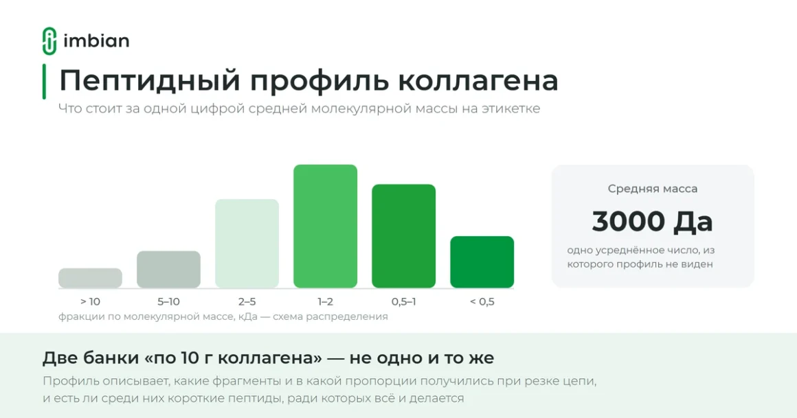 Пептидный профиль коллагена: распределение фрагментов гидролизата по размеру