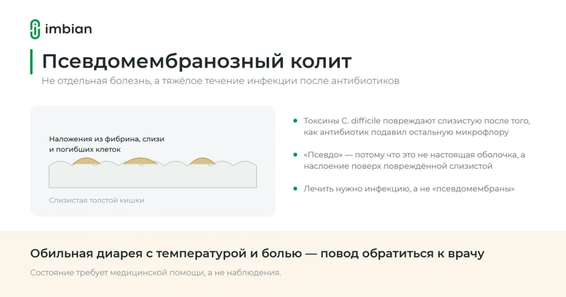 Псевдомембранозный колит: что происходит со слизистой толстой кишки