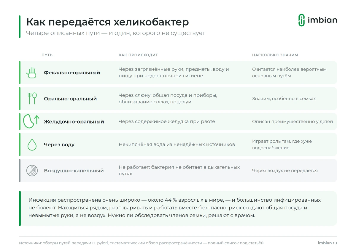 Пути передачи хеликобактера: контактный, через посуду и предметы, через воду