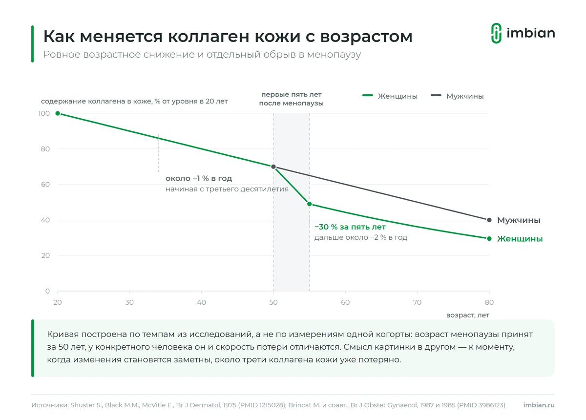Как содержание коллагена в коже снижается с возрастом и после менопаузы