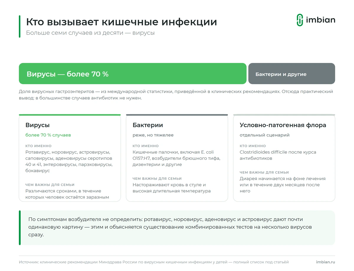 Возбудители кишечных инфекций у детей: доля вирусов и бактерий