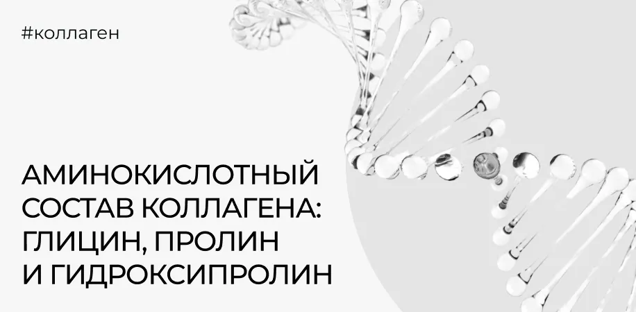 Аминокислотный состав коллагена: глицин, пролин и гидроксипролин