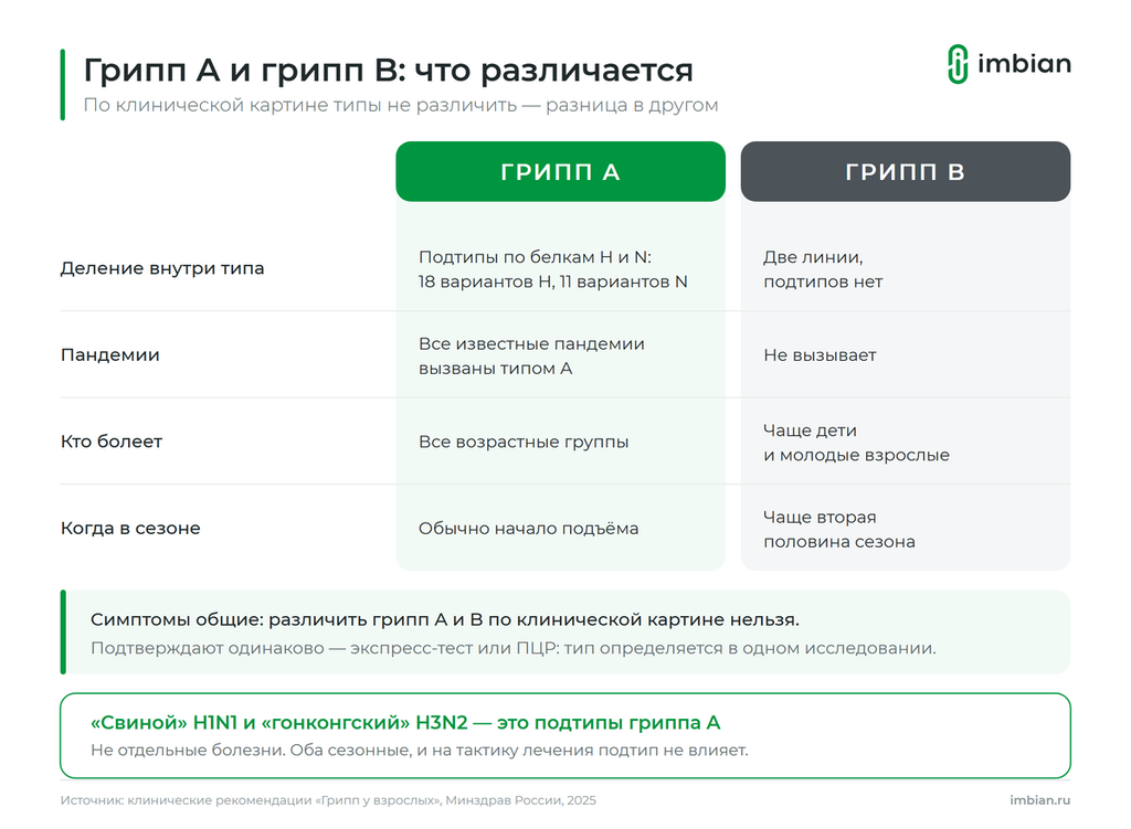 Сравнение гриппа А и гриппа B