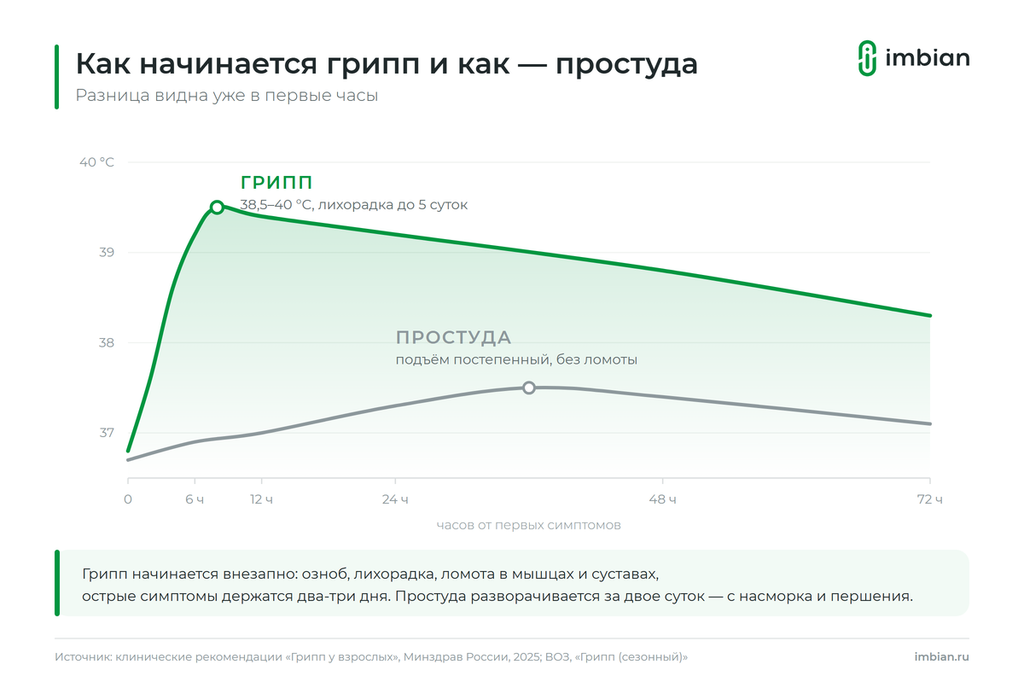График: как начинается грипп и как - простуда