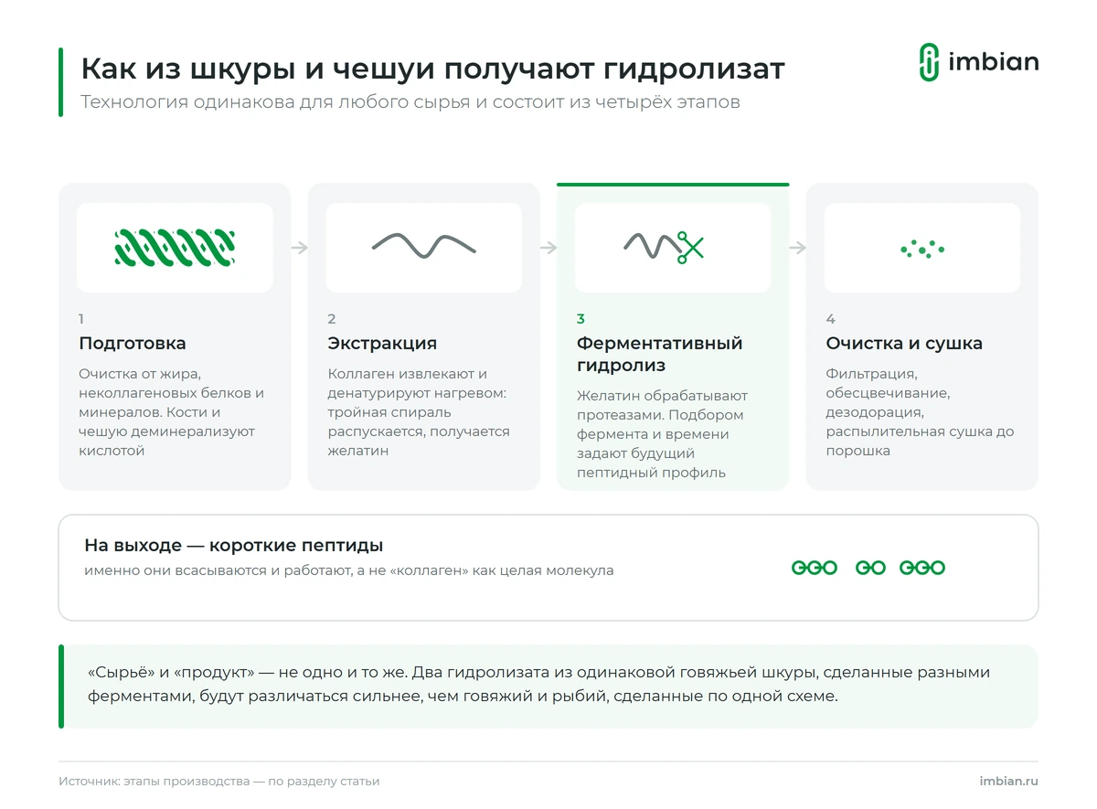 Как из шкуры и чешуи получают гидролизат коллагена