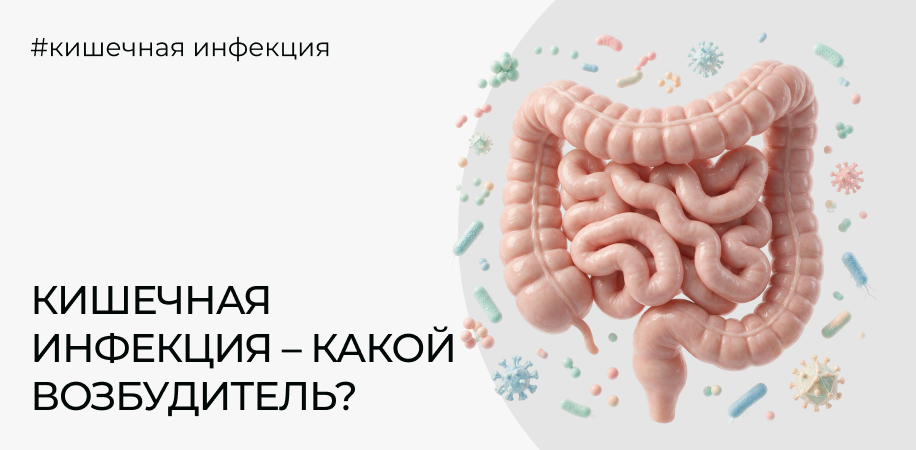 Кишечная инфекция: как понять, какой возбудитель, и когда нужен анализ