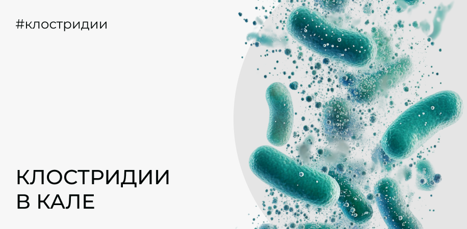 Клостридии в кале: что означают токсины A и B и зачем нужен GDH