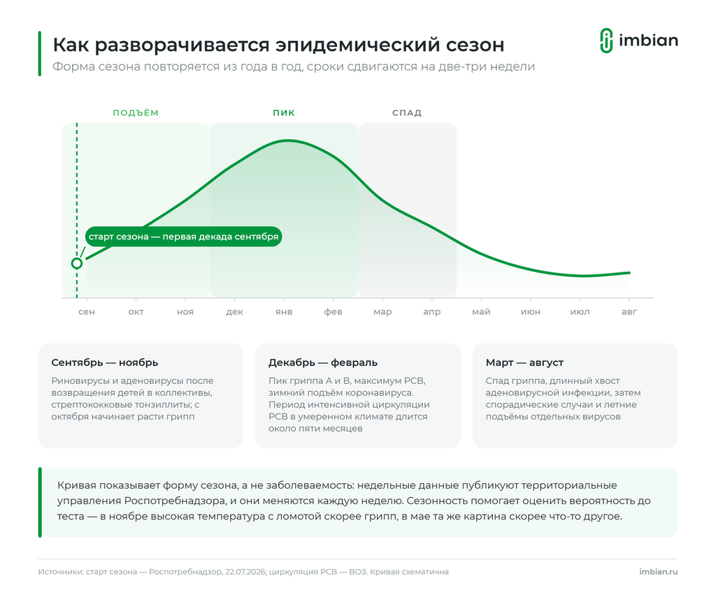 График эпидемического сезона
