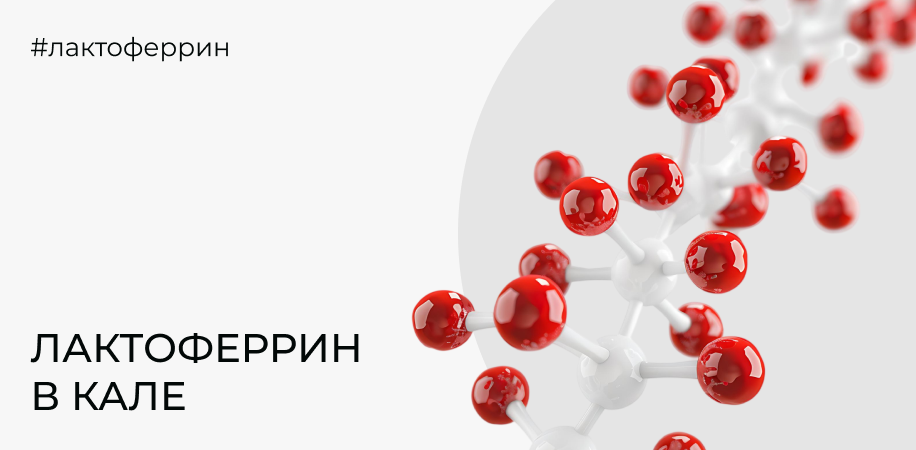 Лактоферрин в кале: что показывает анализ и чем он отличается от кальпротектина