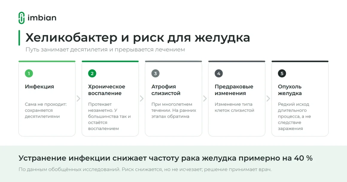Хеликобактер и риск для желудка: как развивается процесс и что даёт лечение