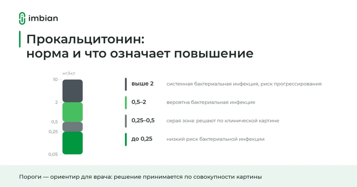 Прокальцитонин: норма у взрослых и трактовка повышенных значений