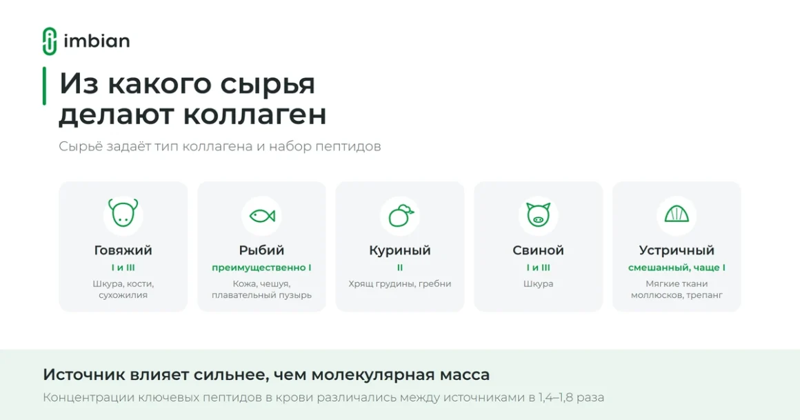 Из какого сырья делают коллаген: говяжий, рыбий, куриный и устричный