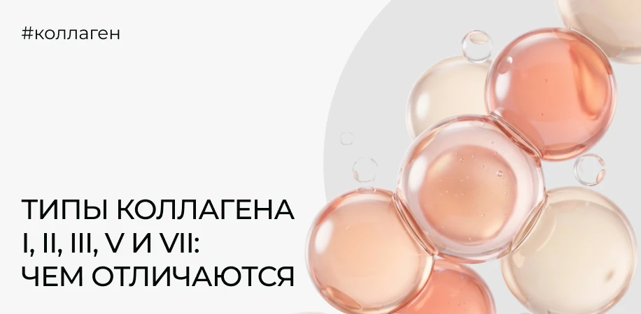 Типы коллагена I, II, III, V и VII: чем отличаются и для чего нужен каждый