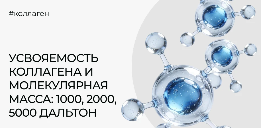 Усвояемость коллагена и молекулярная масса: что означают 1000, 2000 и 5000 дальтон